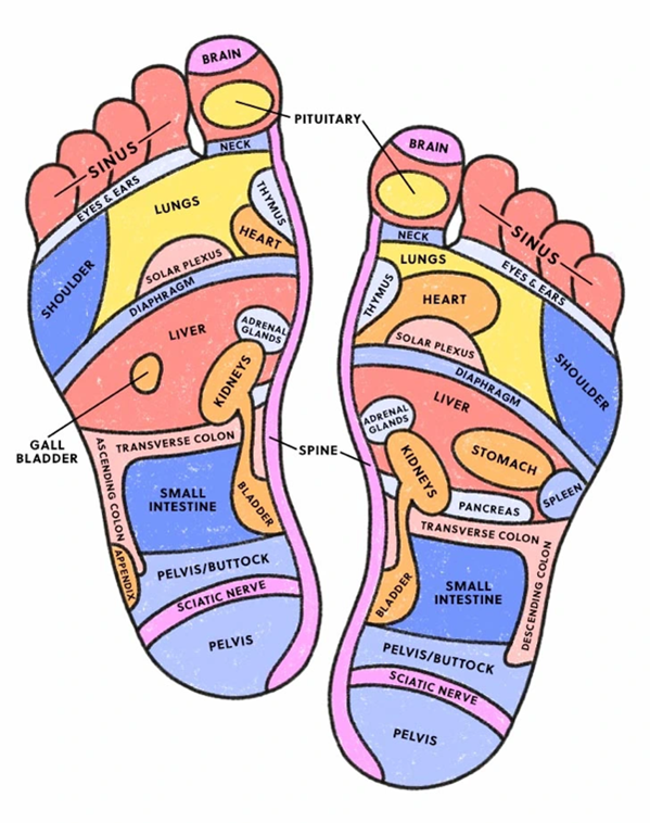 what is reflexology